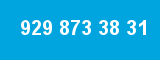 929 873 38 31